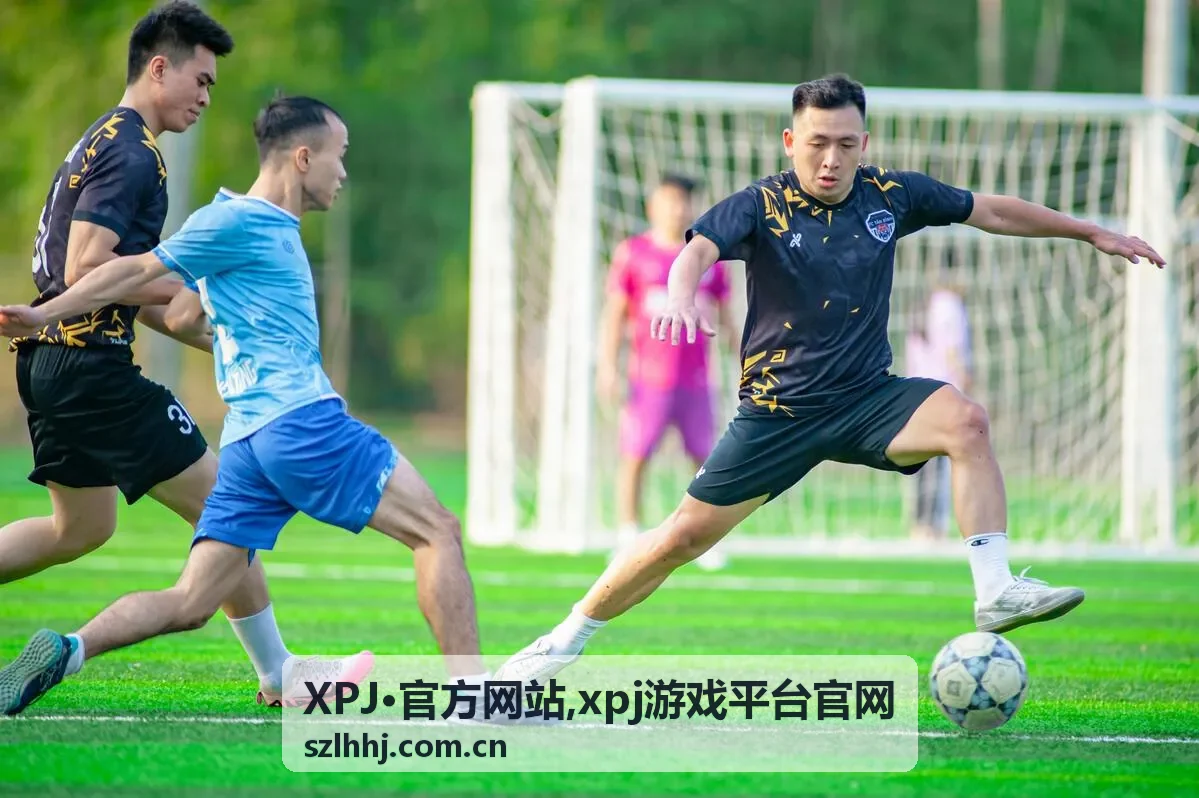 XPJ·官方网站平台信息入口视觉图