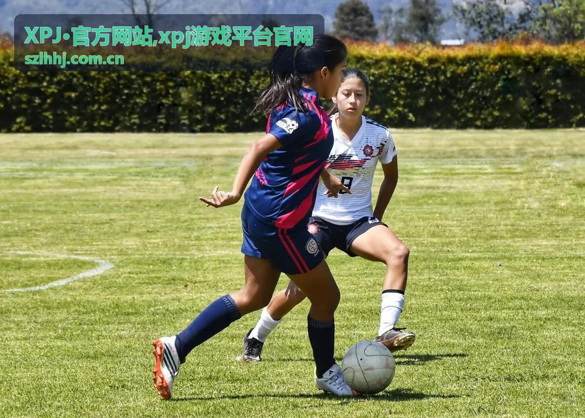 XPJ·官方网站入口识别重点内容封面